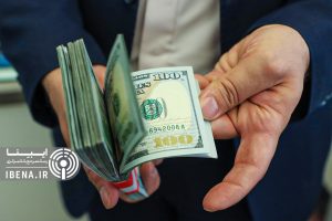 قیمت دلار بر می‌گردد/ دلالان به دنبال برهم زدن بازار هستند