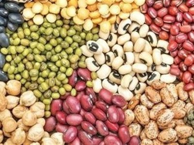 صادرات حبوبات آزاد شد
